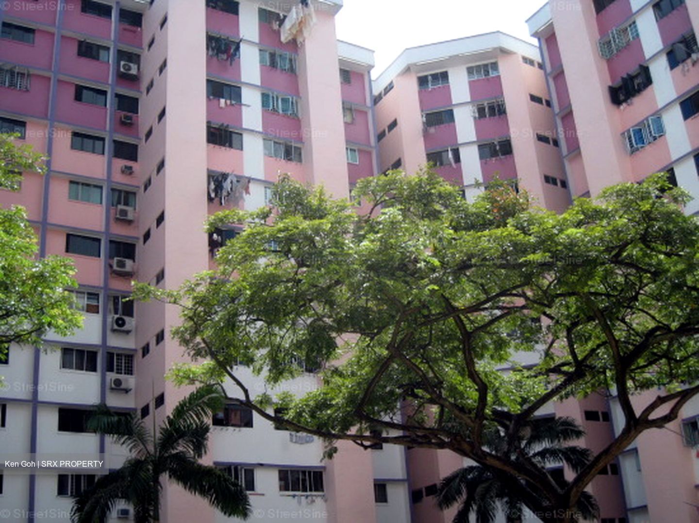 Blk 110 Bukit Purmei Road (Bukit Merah), HDB 3 Rooms #558831721